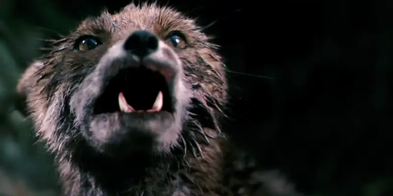 A wet, vicious-looking fox from the movie Antichrist