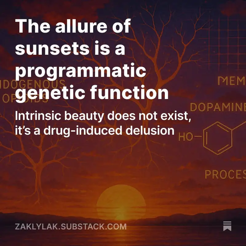 A warm sunset with overlain graphics of neural branching, dopamine, and opioids.